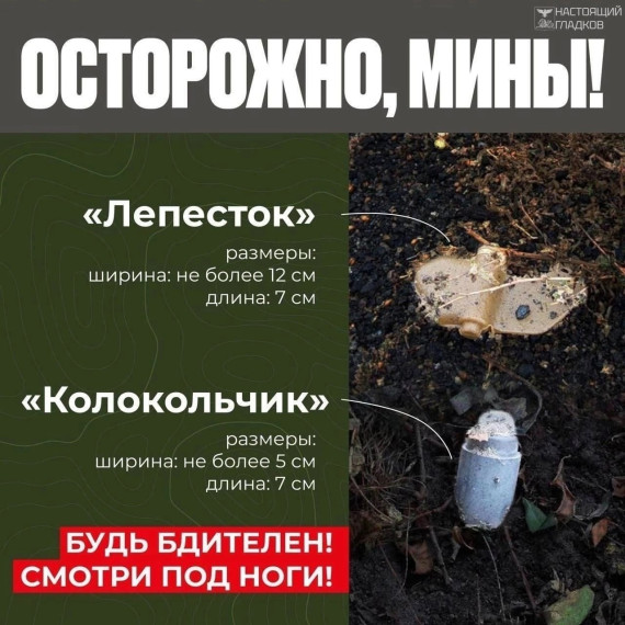 Памятка алгоритм действий при обнаружении подозрительных предметов, в том числе мин «Лепесток» и «Колокольчик».